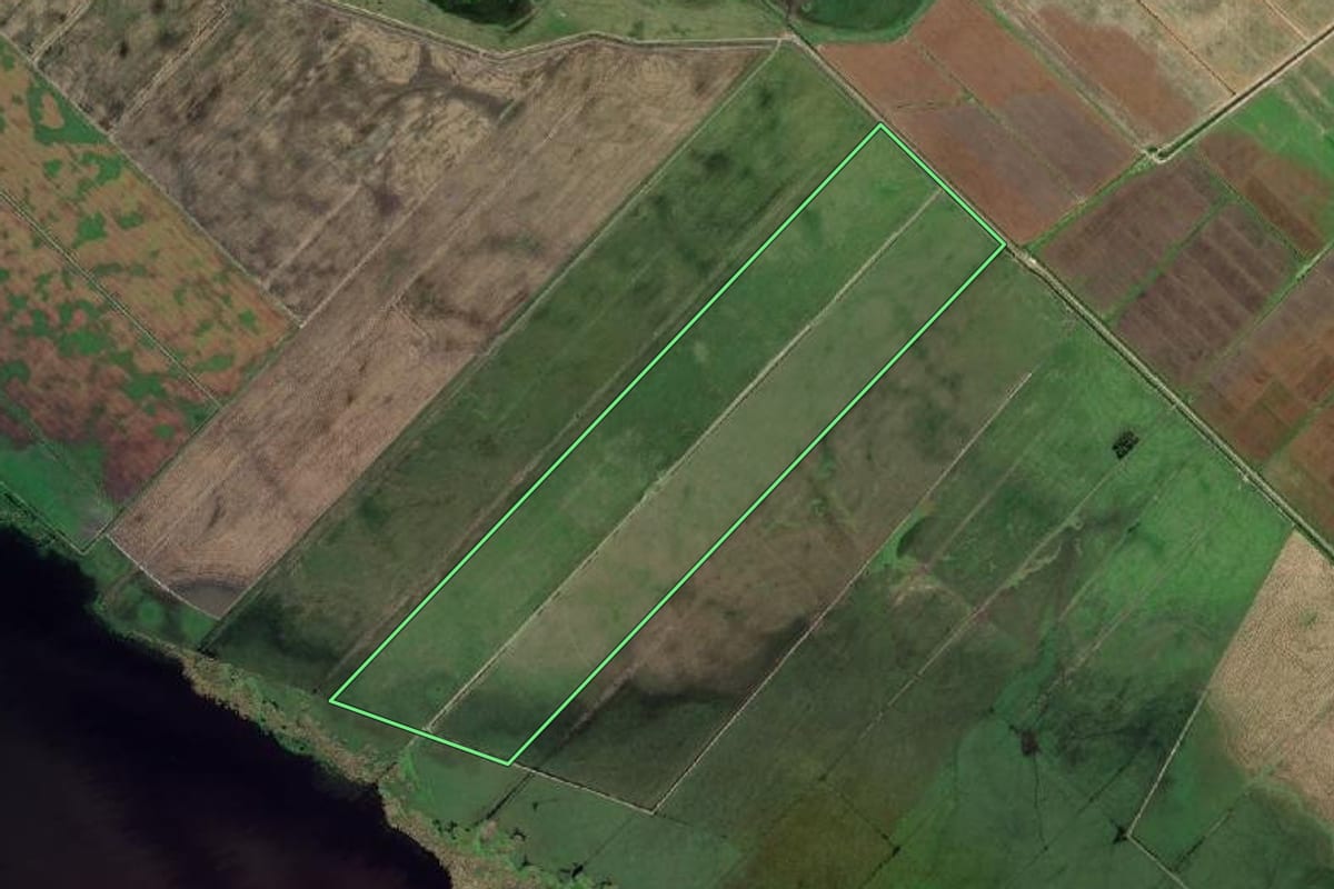 Imagem de satélite do imóvel rural em Santa Vitória do Palmar (RS), com o contorno declarado no CAR desenhado por cima.