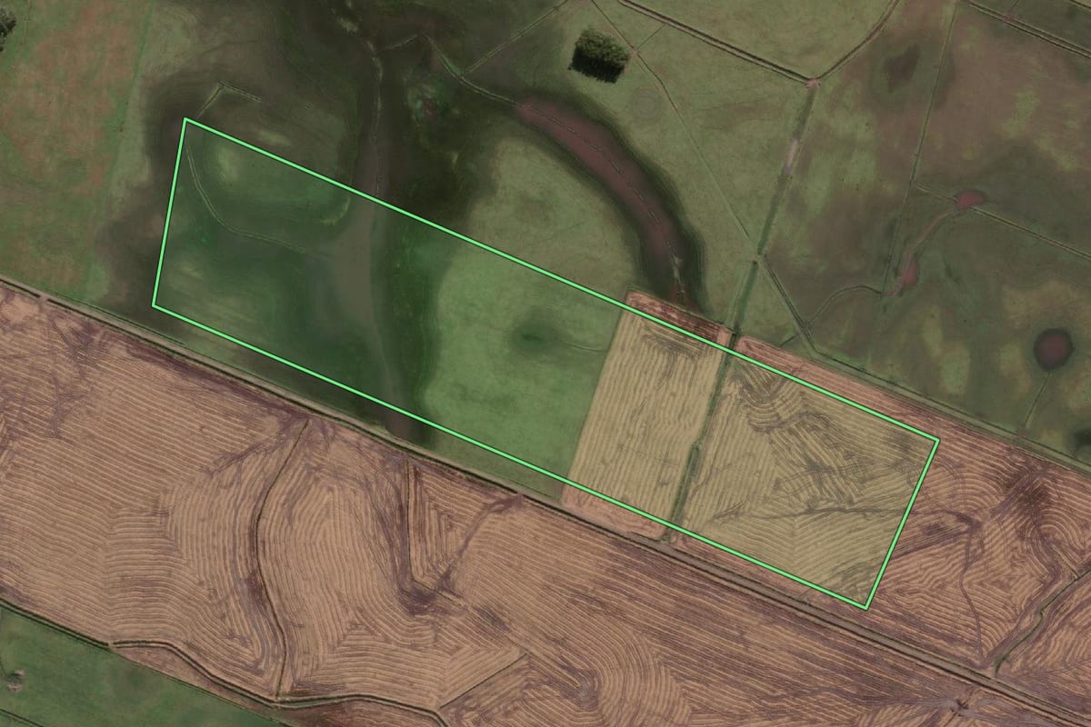 Imagem de satélite do imóvel rural em Santa Vitória do Palmar (RS), com o contorno declarado no CAR desenhado por cima.