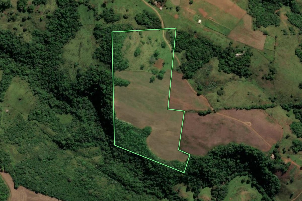 Imagem de satélite do imóvel rural em Santiago (RS), com o contorno declarado no CAR desenhado por cima.