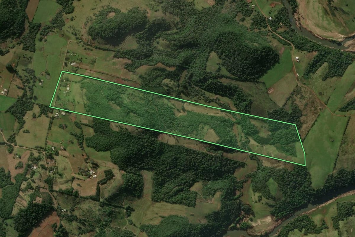 Imagem de satélite do imóvel rural em Santiago (RS), com o contorno declarado no CAR desenhado por cima.