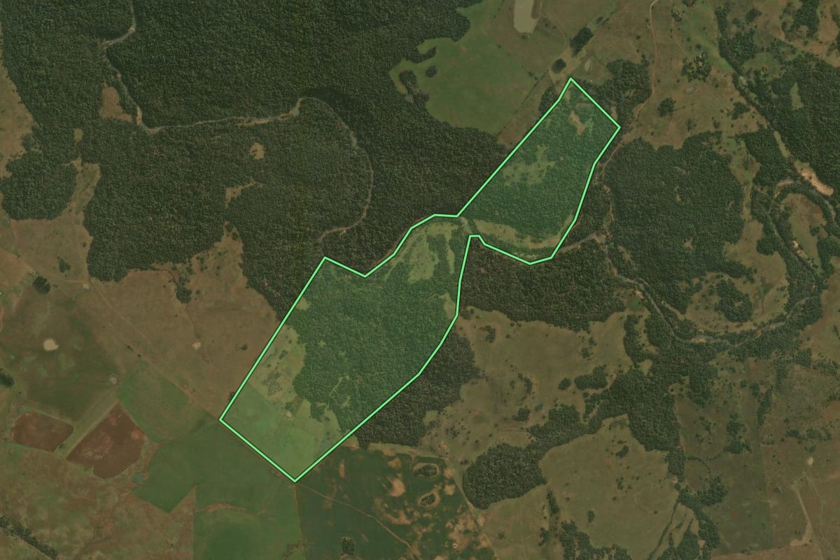 Imagem de satélite do imóvel rural em Santiago (RS), com o contorno declarado no CAR desenhado por cima.