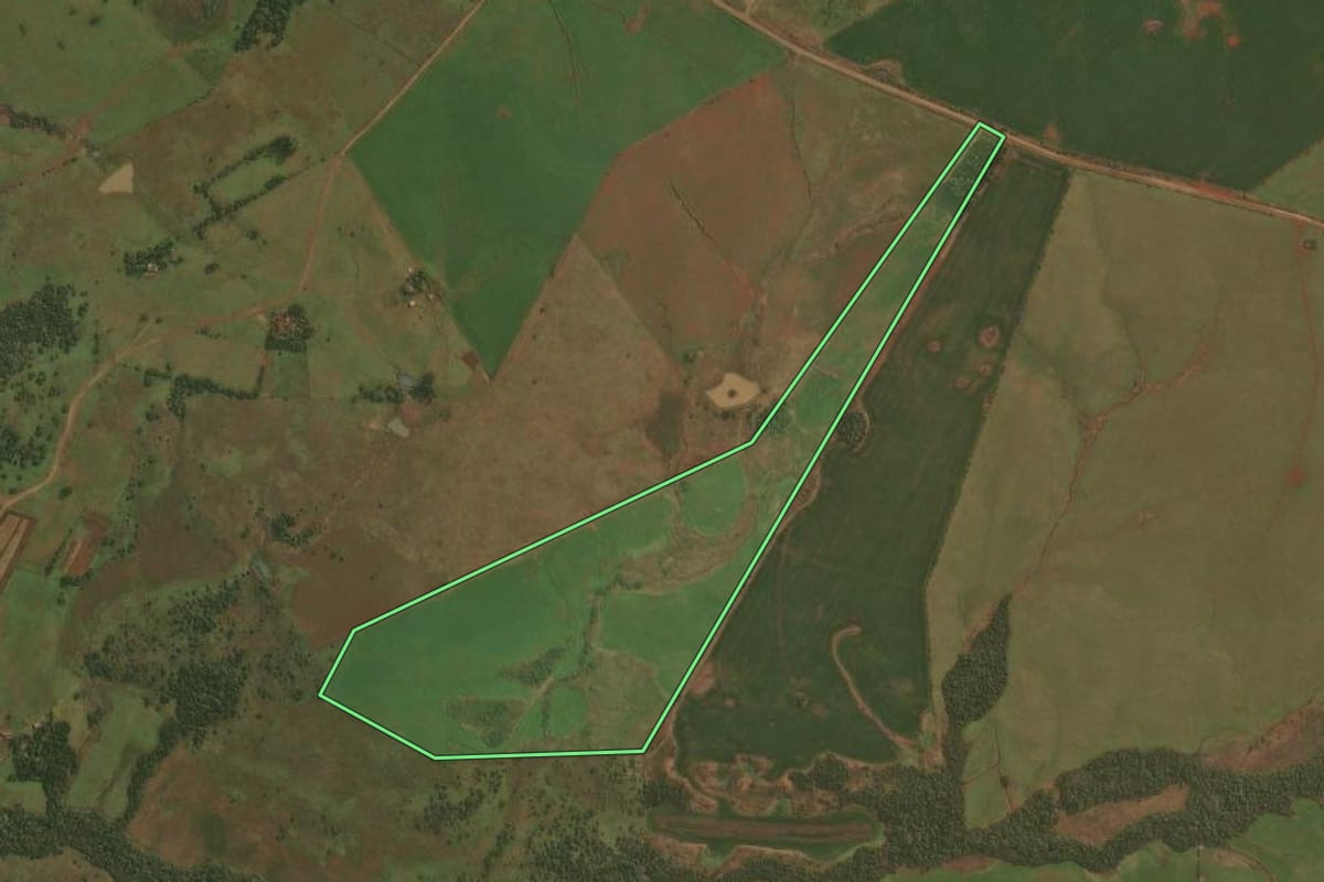 Imagem de satélite do imóvel rural em Santiago (RS), com o contorno declarado no CAR desenhado por cima.