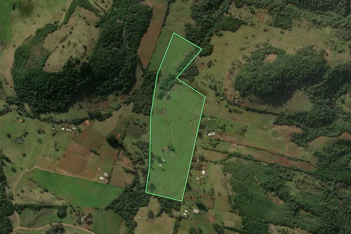 Imagem de satélite do imóvel rural em Santiago (RS), com o contorno declarado no CAR desenhado por cima.