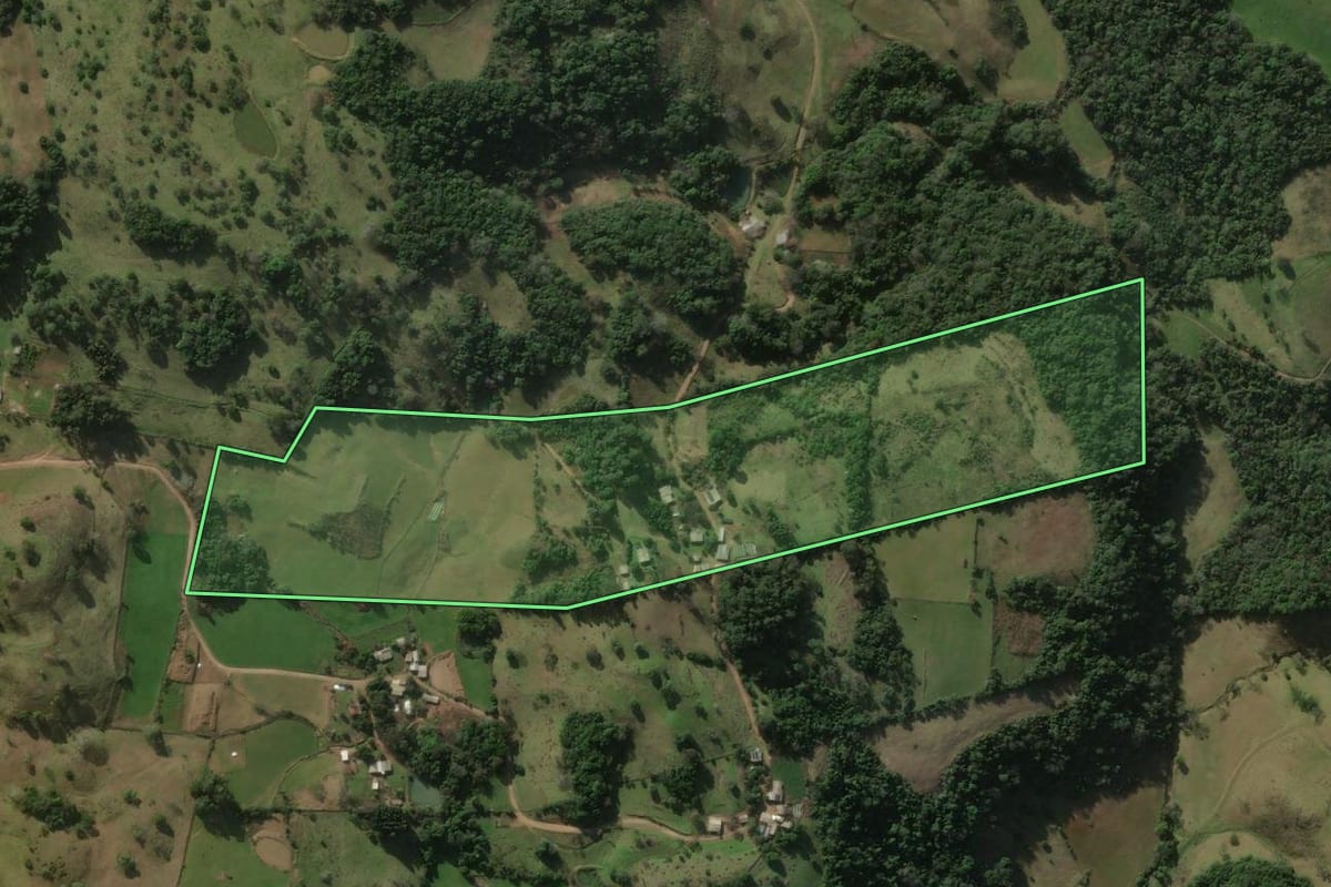 Imagem de satélite do imóvel rural em Santiago (RS), com o contorno declarado no CAR desenhado por cima.