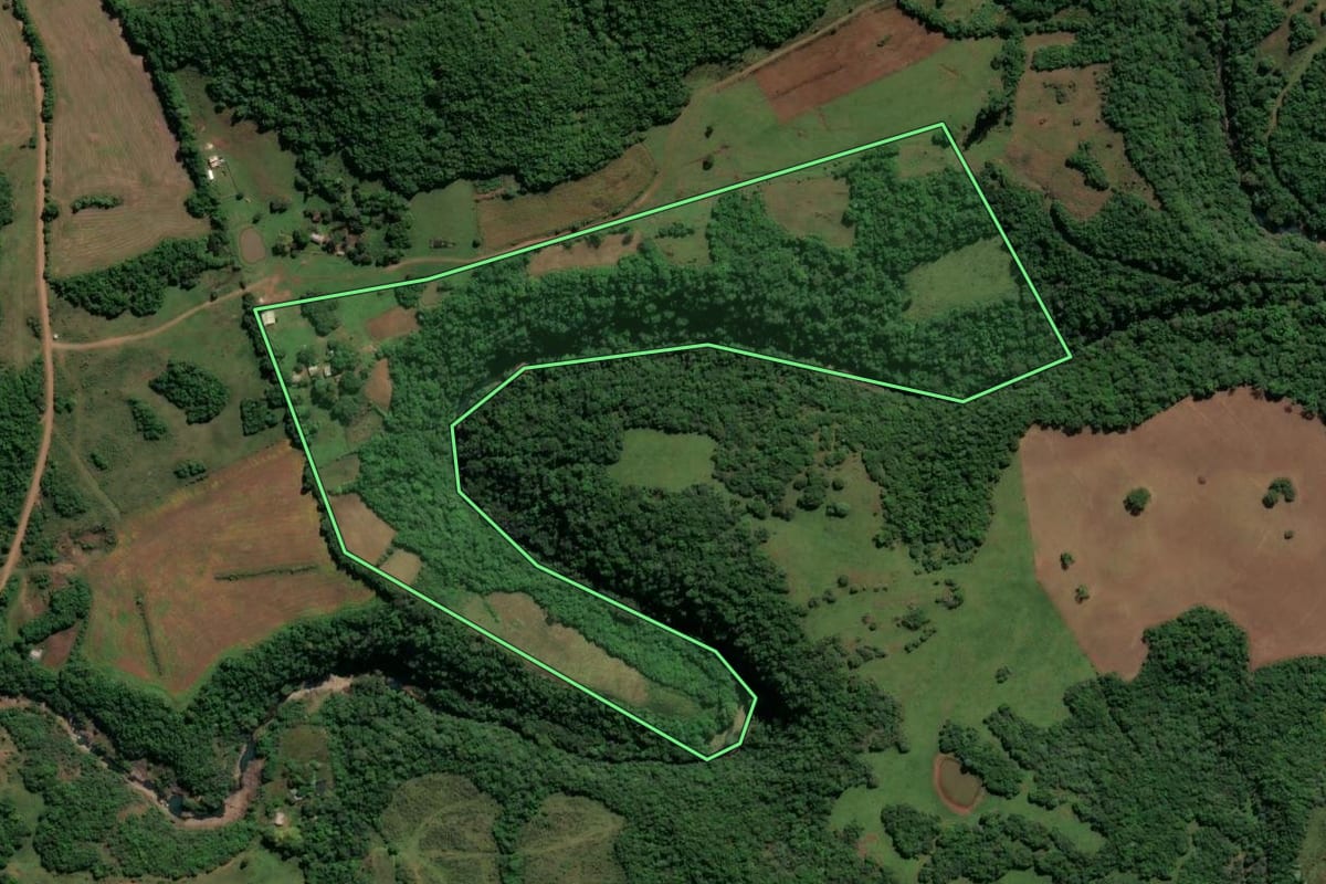 Imagem de satélite do imóvel rural em Santiago (RS), com o contorno declarado no CAR desenhado por cima.