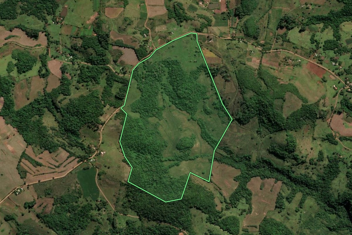 Imagem de satélite do imóvel rural em Santiago (RS), com o contorno declarado no CAR desenhado por cima.