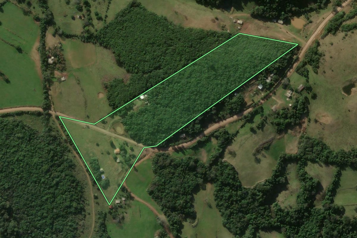 Imagem de satélite do imóvel rural em Santiago (RS), com o contorno declarado no CAR desenhado por cima.