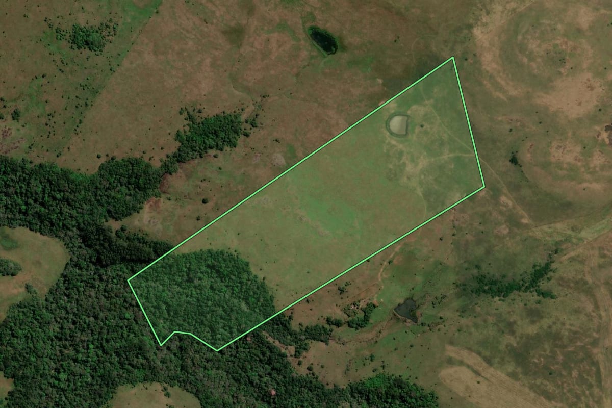 Imagem de satélite do imóvel rural em Santiago (RS), com o contorno declarado no CAR desenhado por cima.