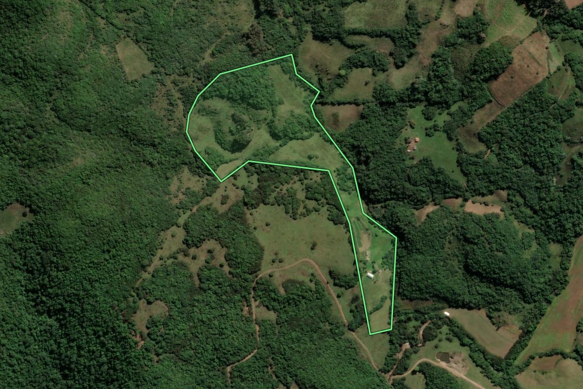 Imagem de satélite do imóvel rural em Santiago (RS), com o contorno declarado no CAR desenhado por cima.