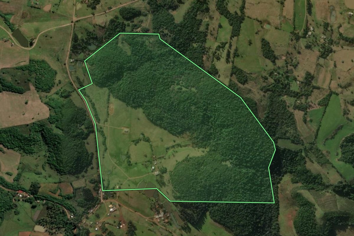 Imagem de satélite do imóvel rural em Santiago (RS), com o contorno declarado no CAR desenhado por cima.