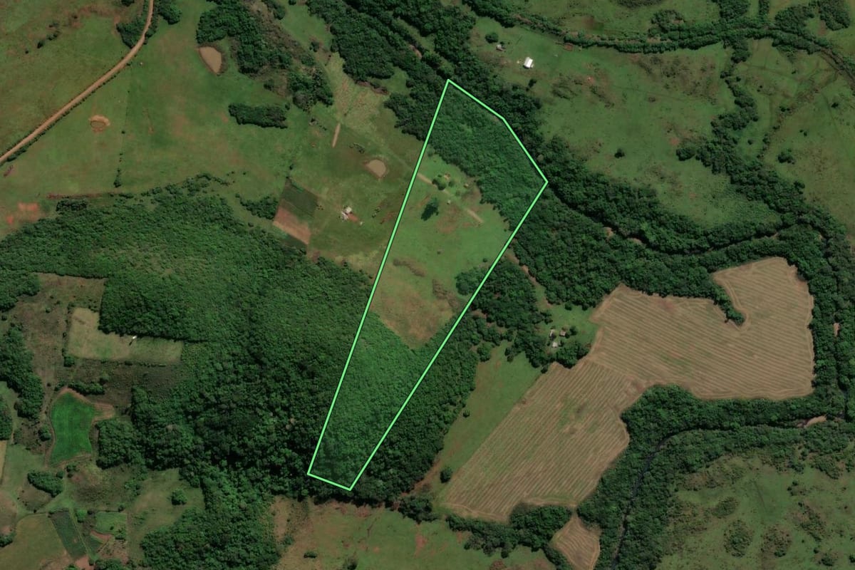 Imagem de satélite do imóvel rural em Santiago (RS), com o contorno declarado no CAR desenhado por cima.