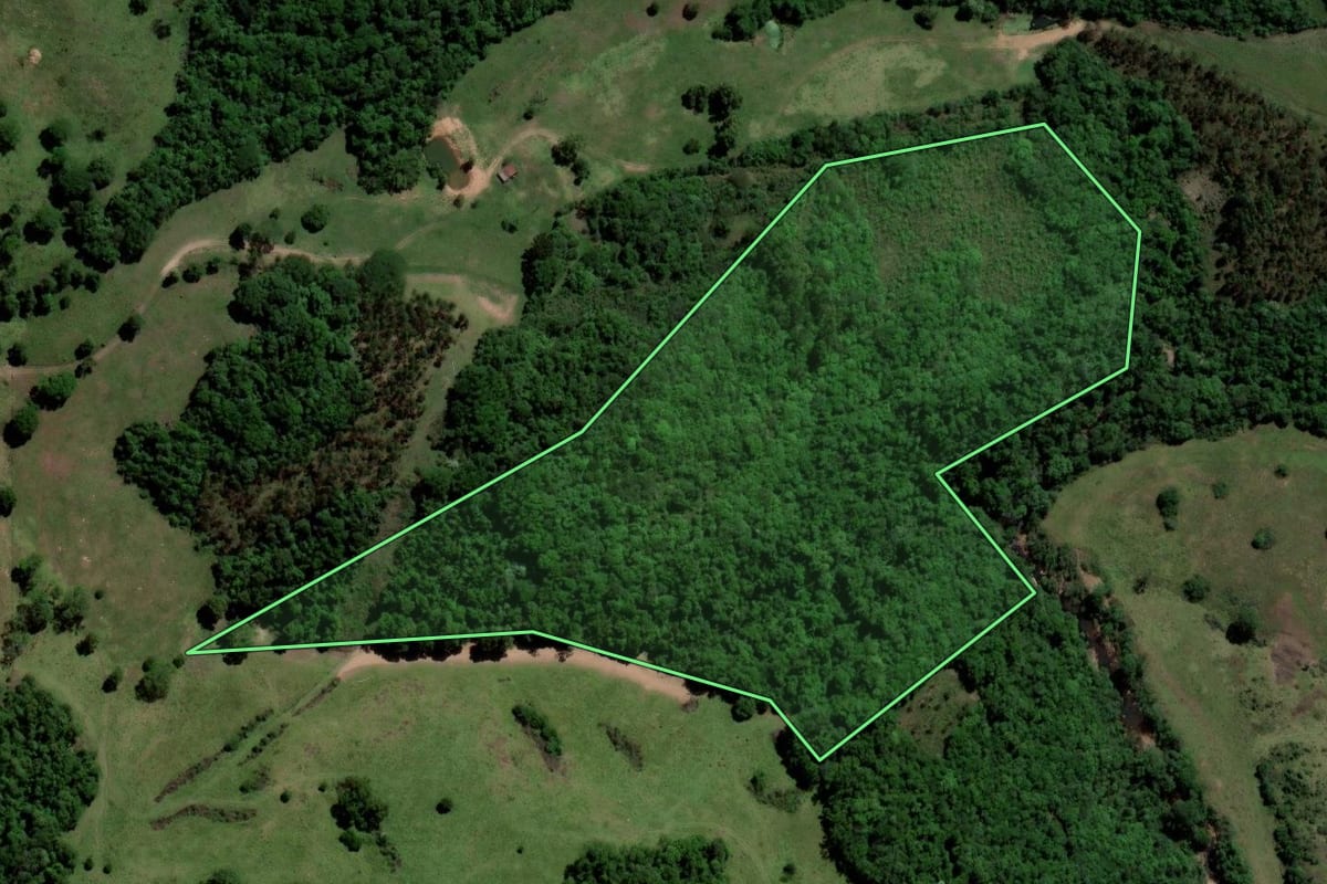 Imagem de satélite do imóvel rural em Santiago (RS), com o contorno declarado no CAR desenhado por cima.