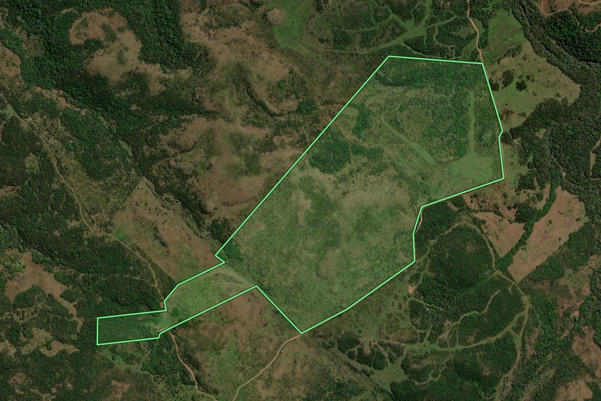 Imagem de satélite do imóvel rural em Santiago (RS), com o contorno declarado no CAR desenhado por cima.