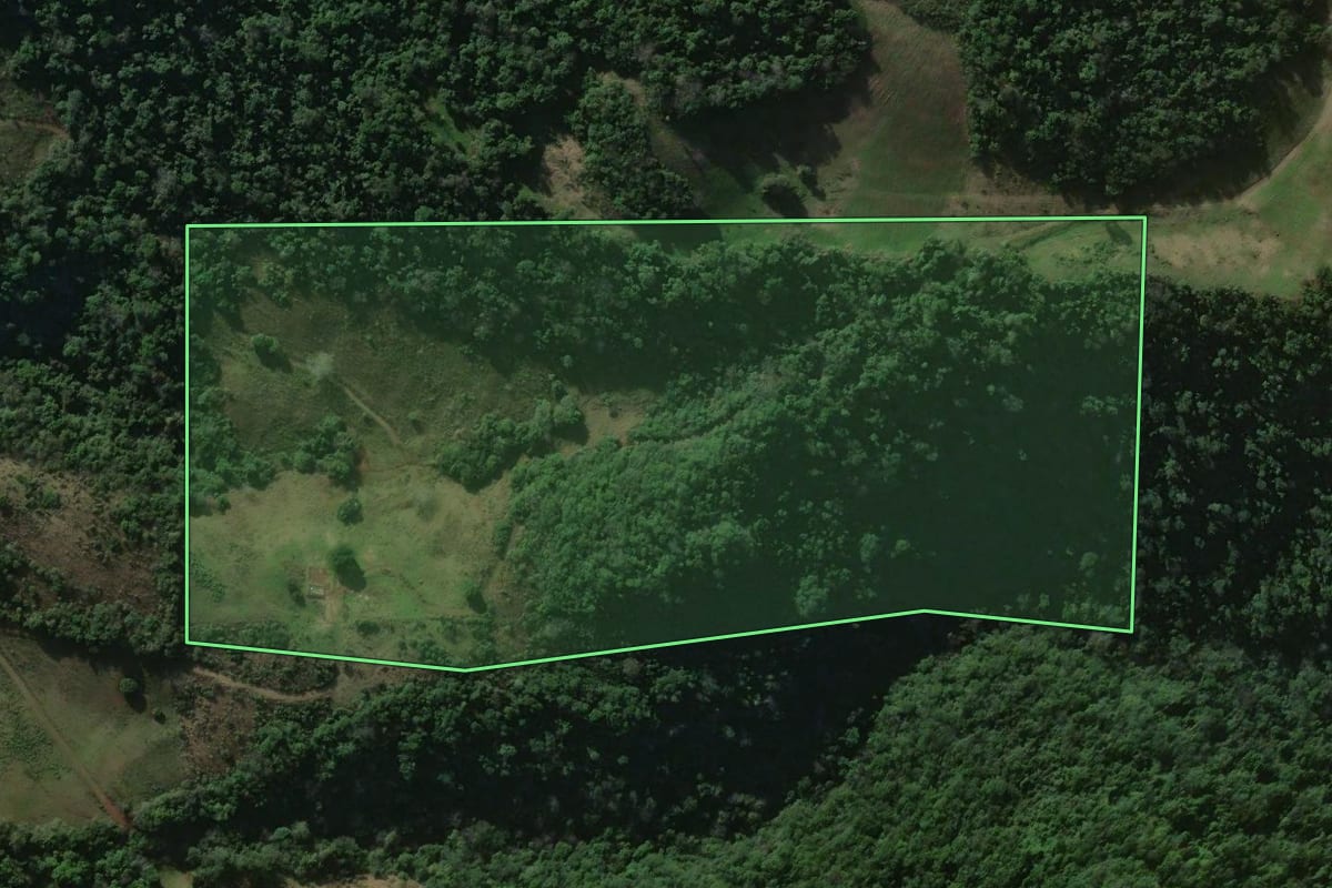 Imagem de satélite do imóvel rural em Santiago (RS), com o contorno declarado no CAR desenhado por cima.