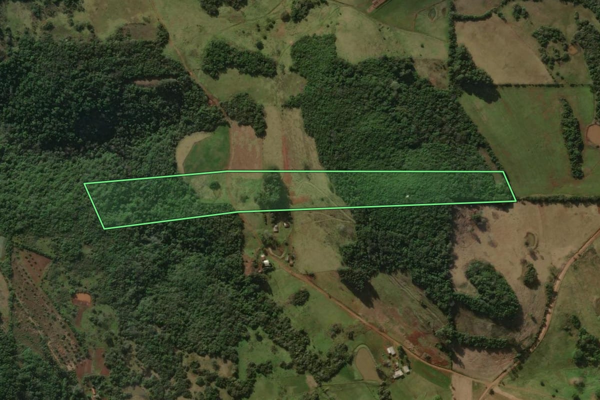 Imagem de satélite do imóvel rural em Santiago (RS), com o contorno declarado no CAR desenhado por cima.