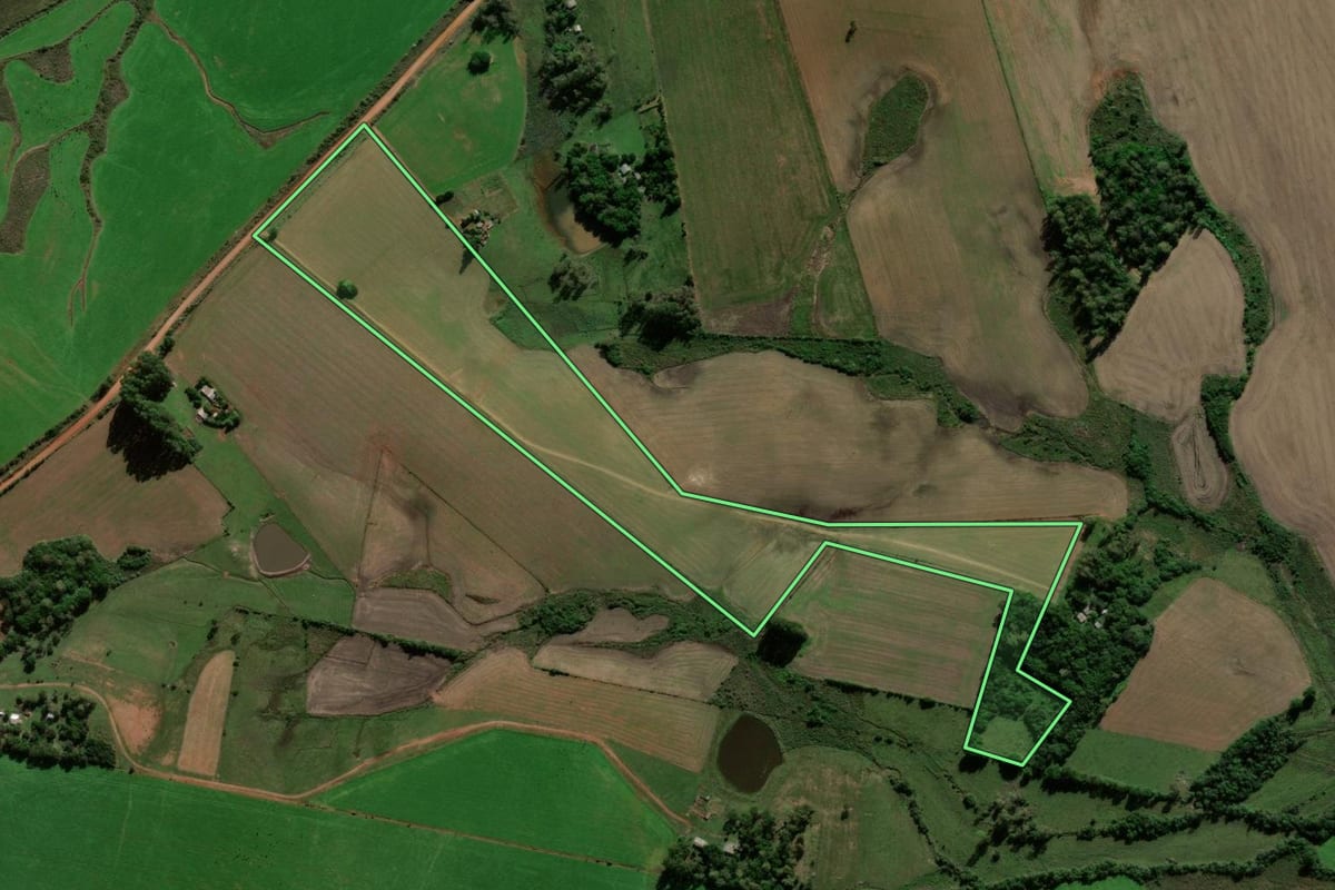 Imagem de satélite do imóvel rural em Santiago (RS), com o contorno declarado no CAR desenhado por cima.