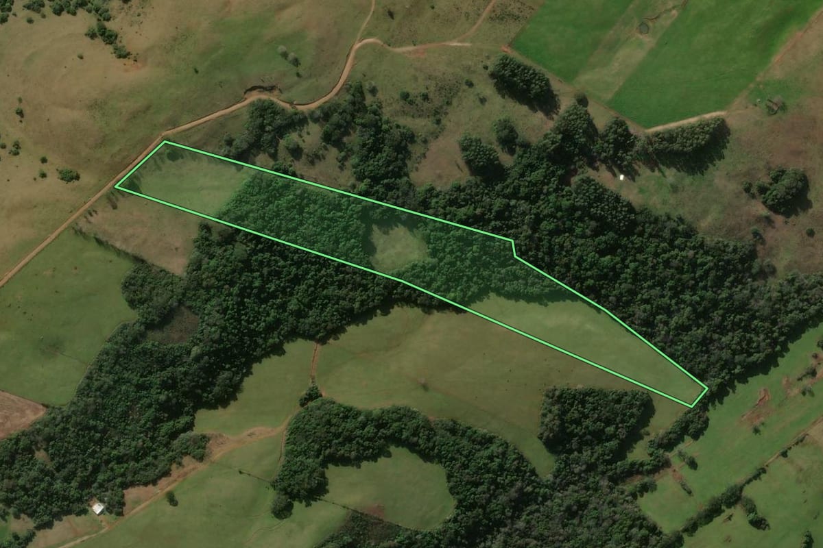 Imagem de satélite do imóvel rural em Santiago (RS), com o contorno declarado no CAR desenhado por cima.