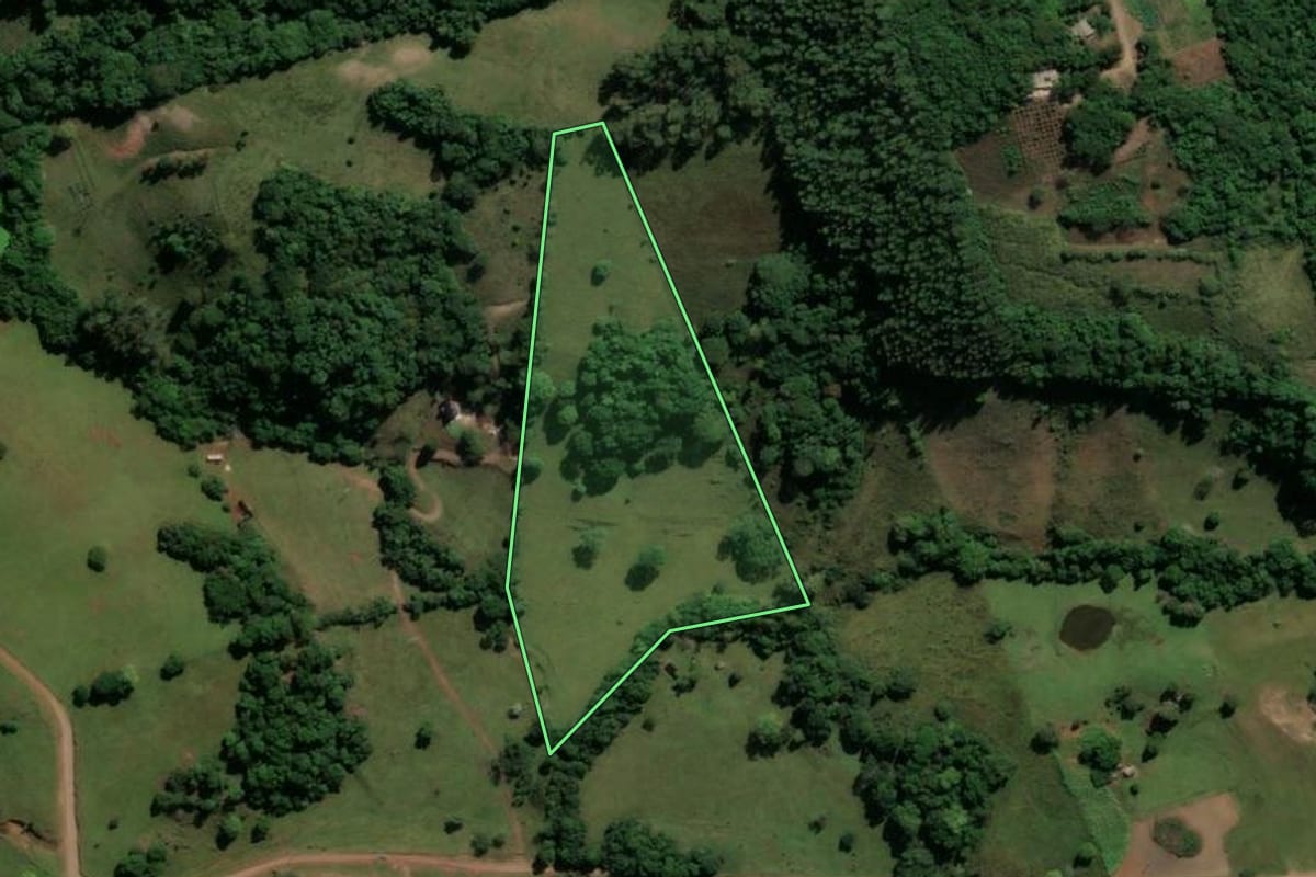 Imagem de satélite do imóvel rural em Santiago (RS), com o contorno declarado no CAR desenhado por cima.