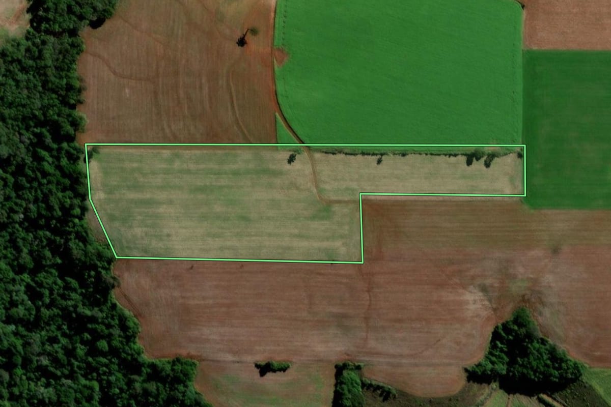Imagem de satélite do imóvel rural em Santo Ângelo (RS), com o contorno declarado no CAR desenhado por cima.