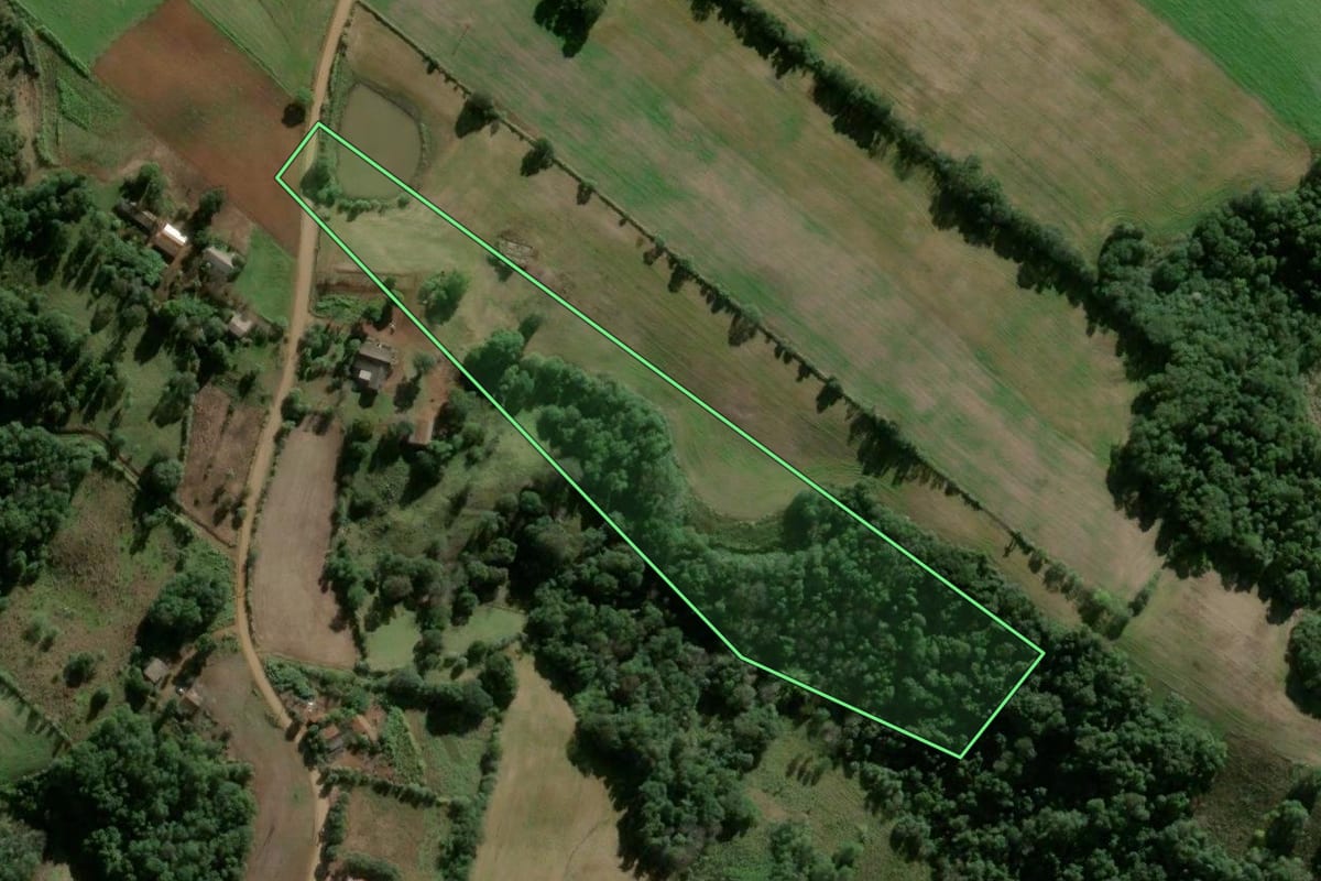 Imagem de satélite do imóvel rural em Santo Ângelo (RS), com o contorno declarado no CAR desenhado por cima.