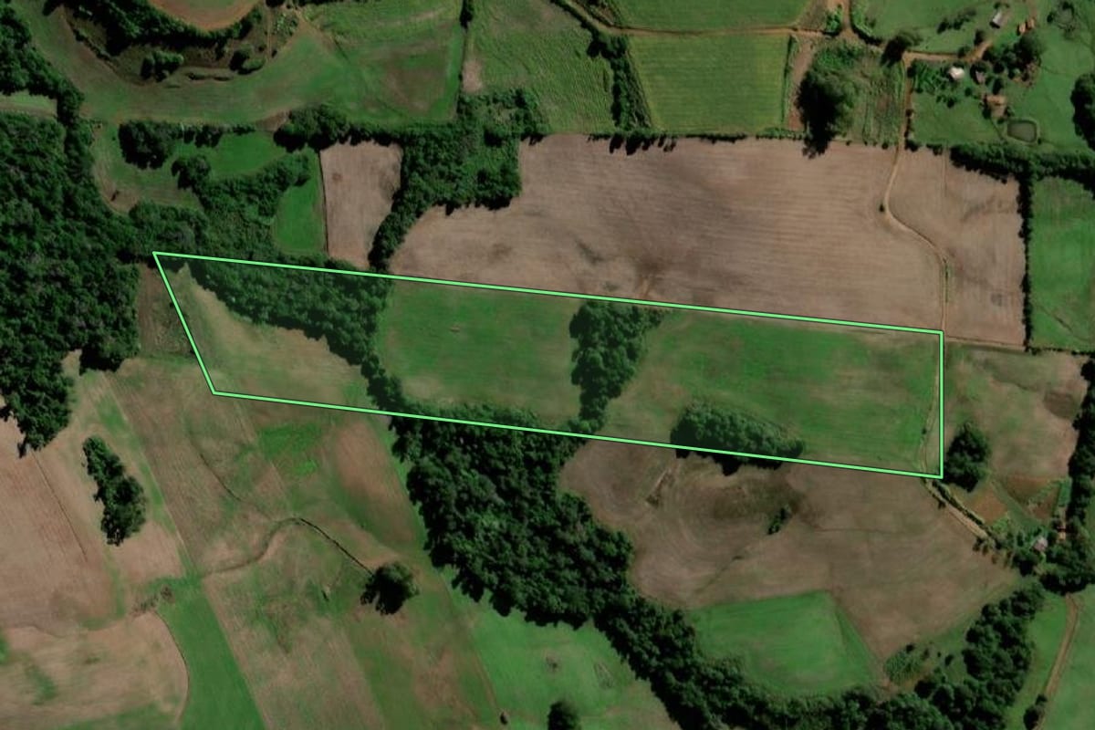Imagem de satélite do imóvel rural em Santo Ângelo (RS), com o contorno declarado no CAR desenhado por cima.