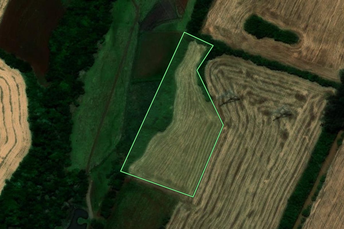 Imagem de satélite do imóvel rural em Santo Ângelo (RS), com o contorno declarado no CAR desenhado por cima.