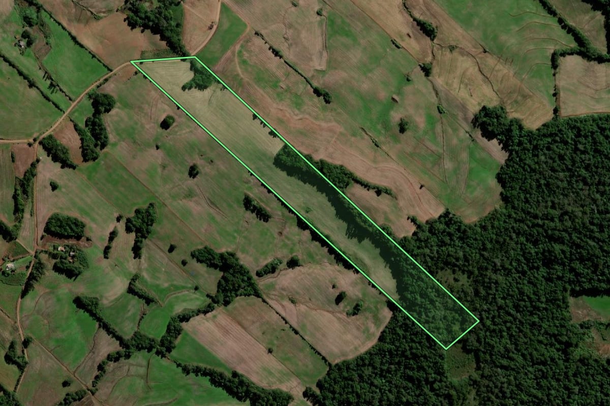 Imagem de satélite do imóvel rural em Santo Ângelo (RS), com o contorno declarado no CAR desenhado por cima.