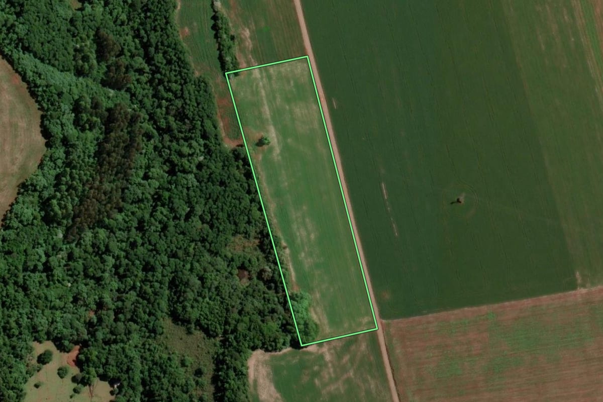 Imagem de satélite do imóvel rural em Santo Ângelo (RS), com o contorno declarado no CAR desenhado por cima.