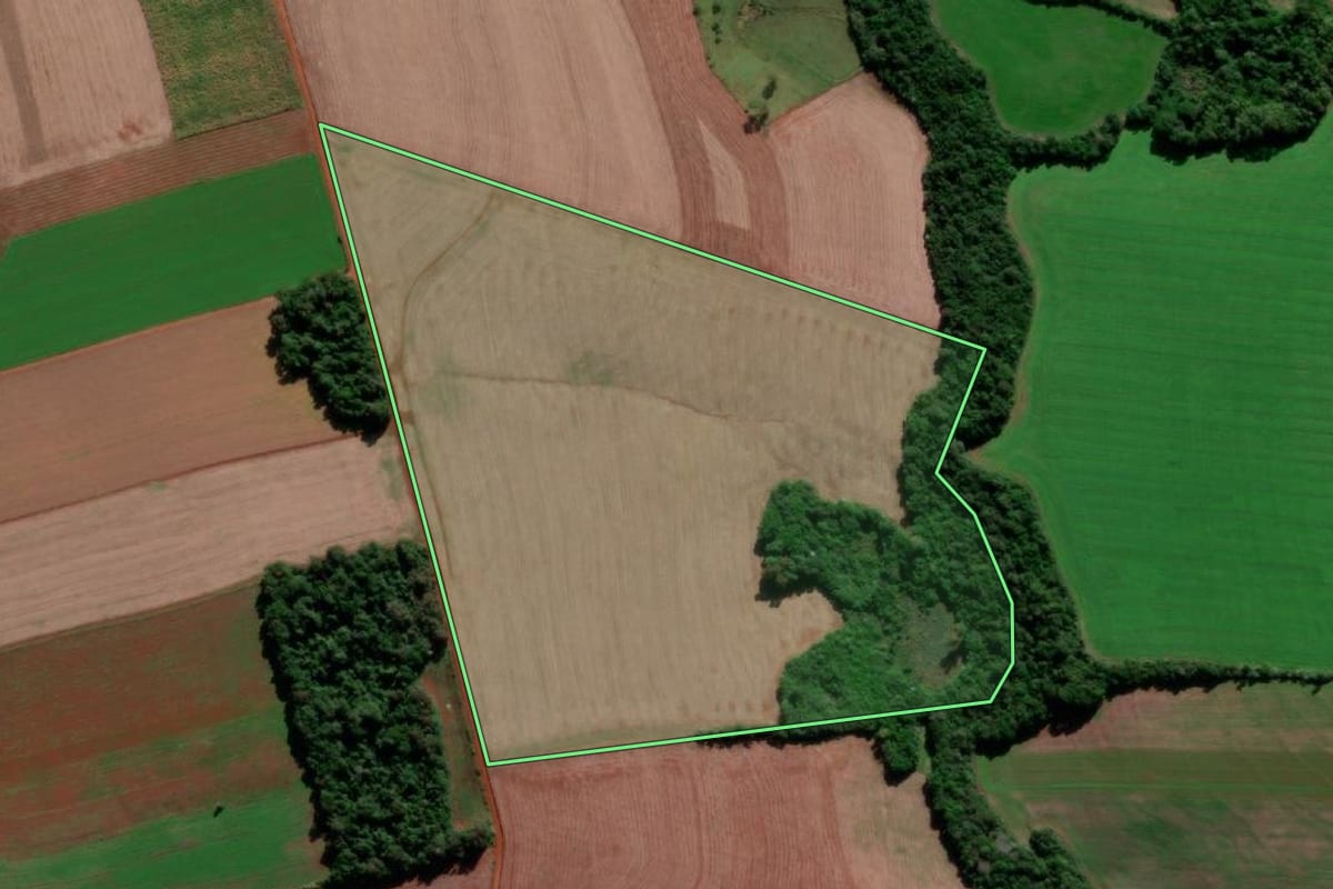 Imagem de satélite do imóvel rural em Santo Ângelo (RS), com o contorno declarado no CAR desenhado por cima.