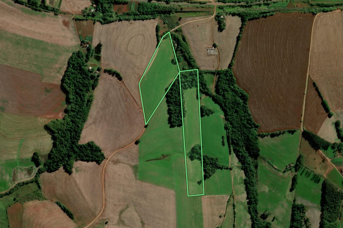 Imagem de satélite do imóvel rural em Santo Ângelo (RS), com o contorno declarado no CAR desenhado por cima.