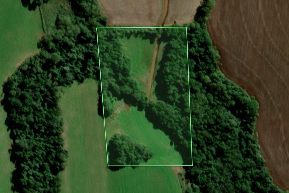 Imagem de satélite do imóvel rural em Santo Ângelo (RS), com o contorno declarado no CAR desenhado por cima.