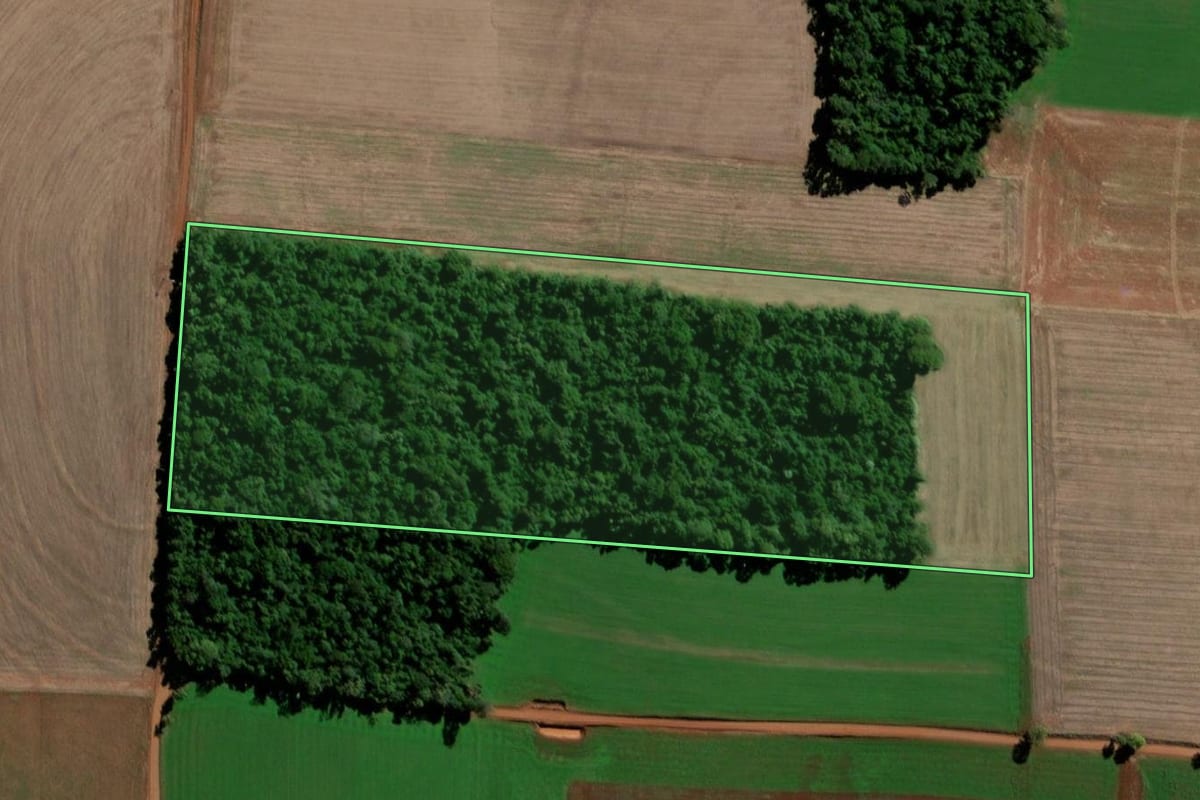 Imagem de satélite do imóvel rural em Santo Ângelo (RS), com o contorno declarado no CAR desenhado por cima.