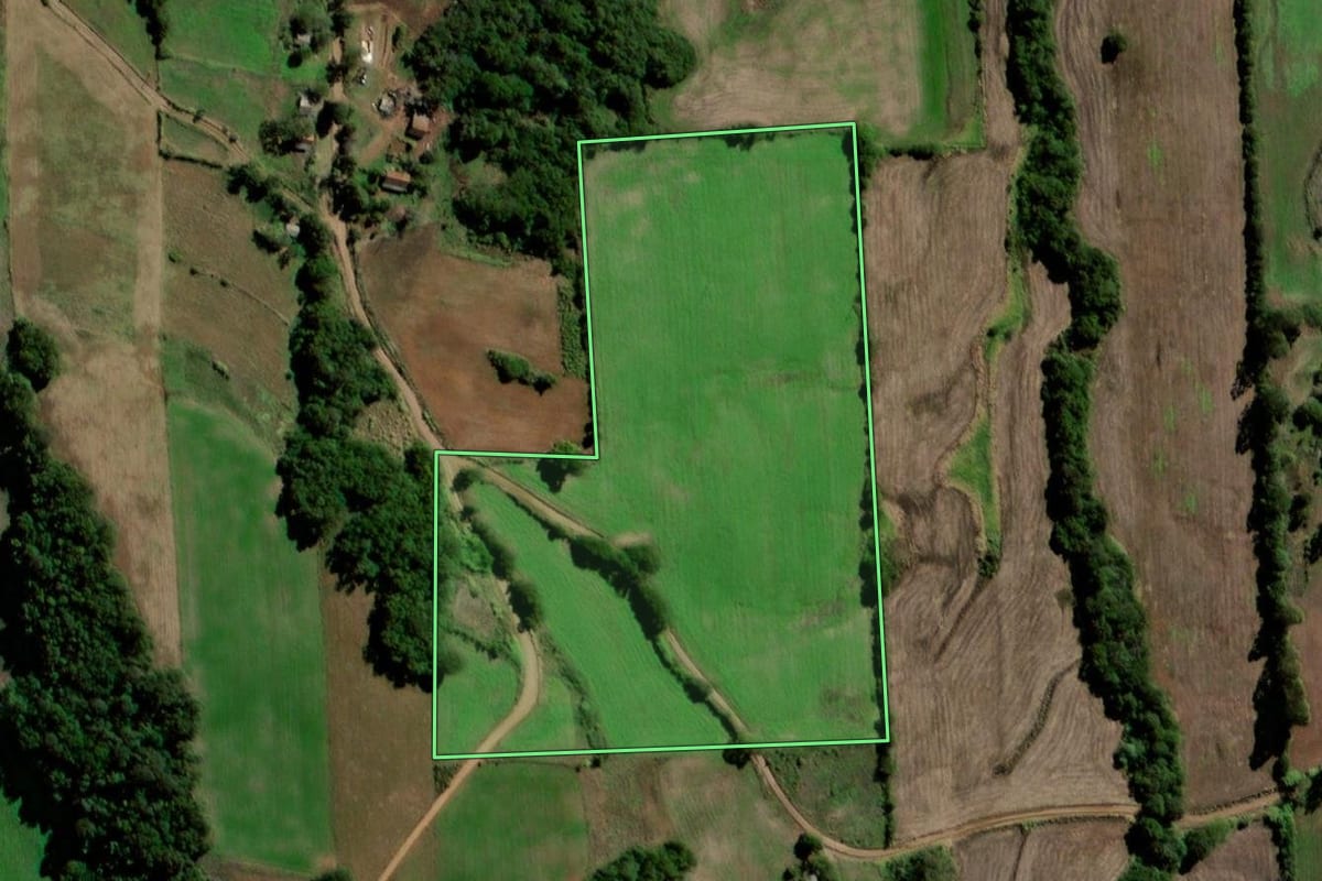 Imagem de satélite do imóvel rural em Santo Ângelo (RS), com o contorno declarado no CAR desenhado por cima.