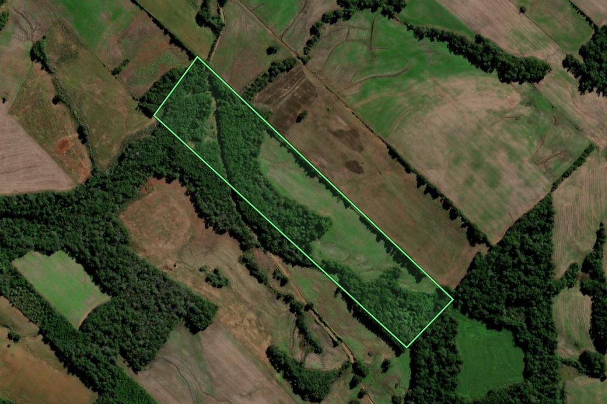 Imagem de satélite do imóvel rural em Santo Ângelo (RS), com o contorno declarado no CAR desenhado por cima.