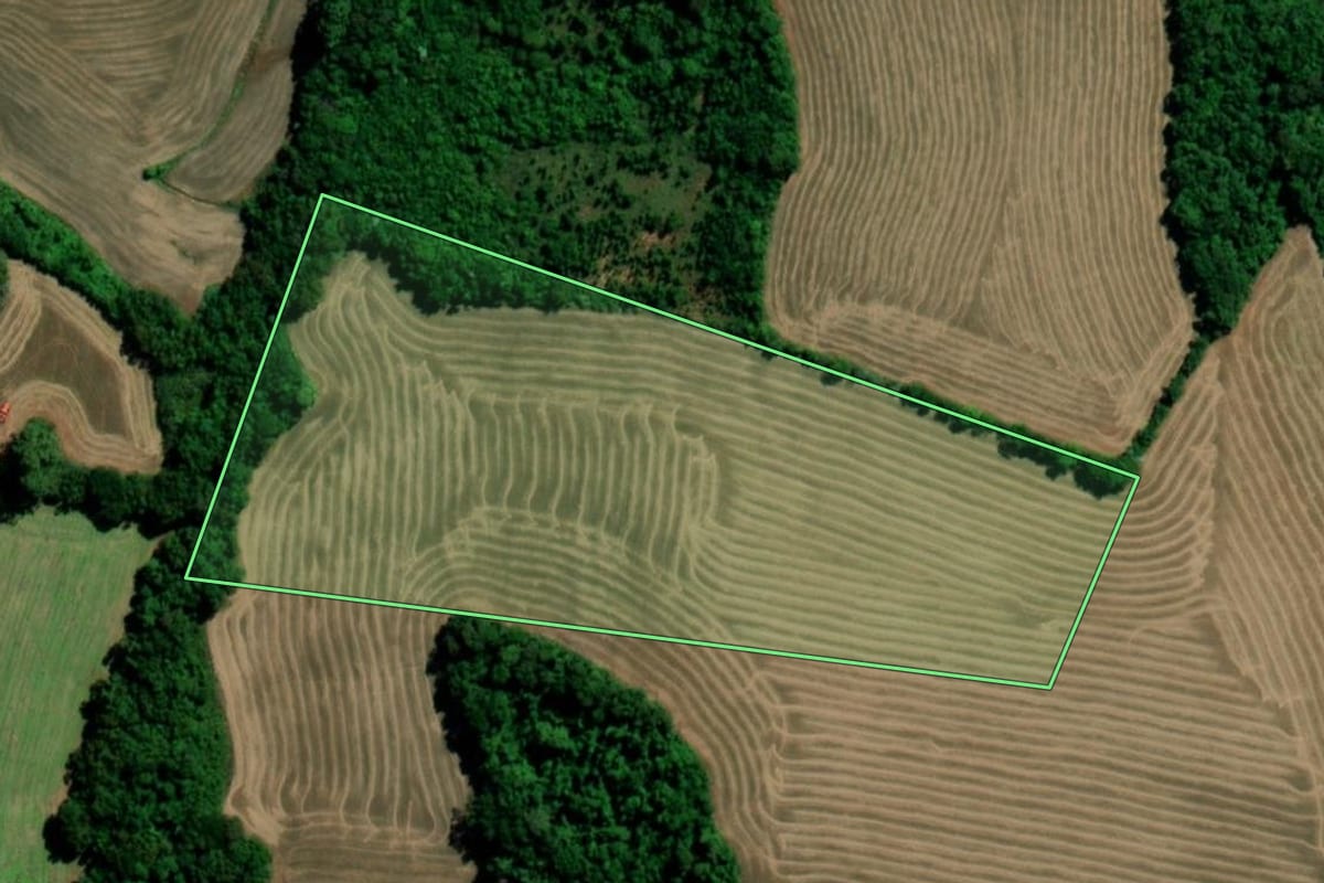 Imagem de satélite do imóvel rural em Santo Ângelo (RS), com o contorno declarado no CAR desenhado por cima.