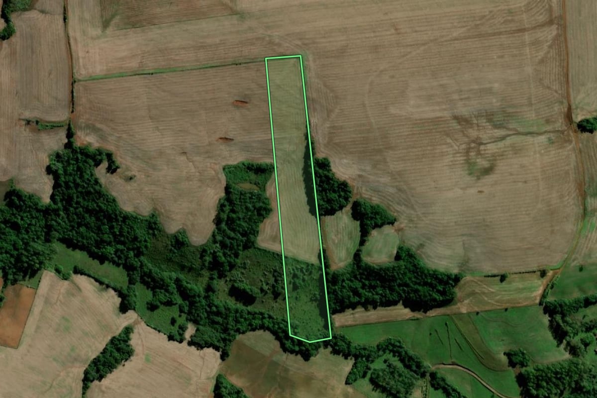 Imagem de satélite do imóvel rural em Santo Ângelo (RS), com o contorno declarado no CAR desenhado por cima.