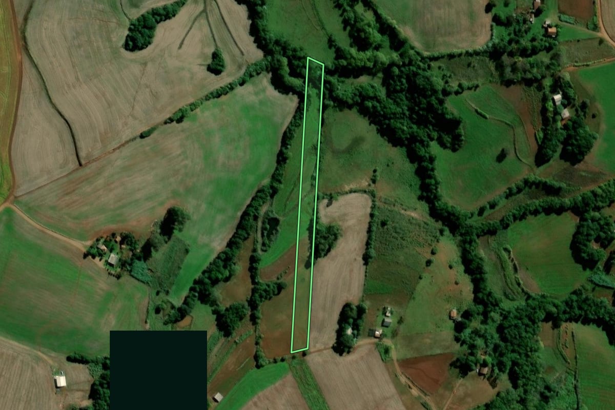 Imagem de satélite do imóvel rural em Santo Ângelo (RS), com o contorno declarado no CAR desenhado por cima.