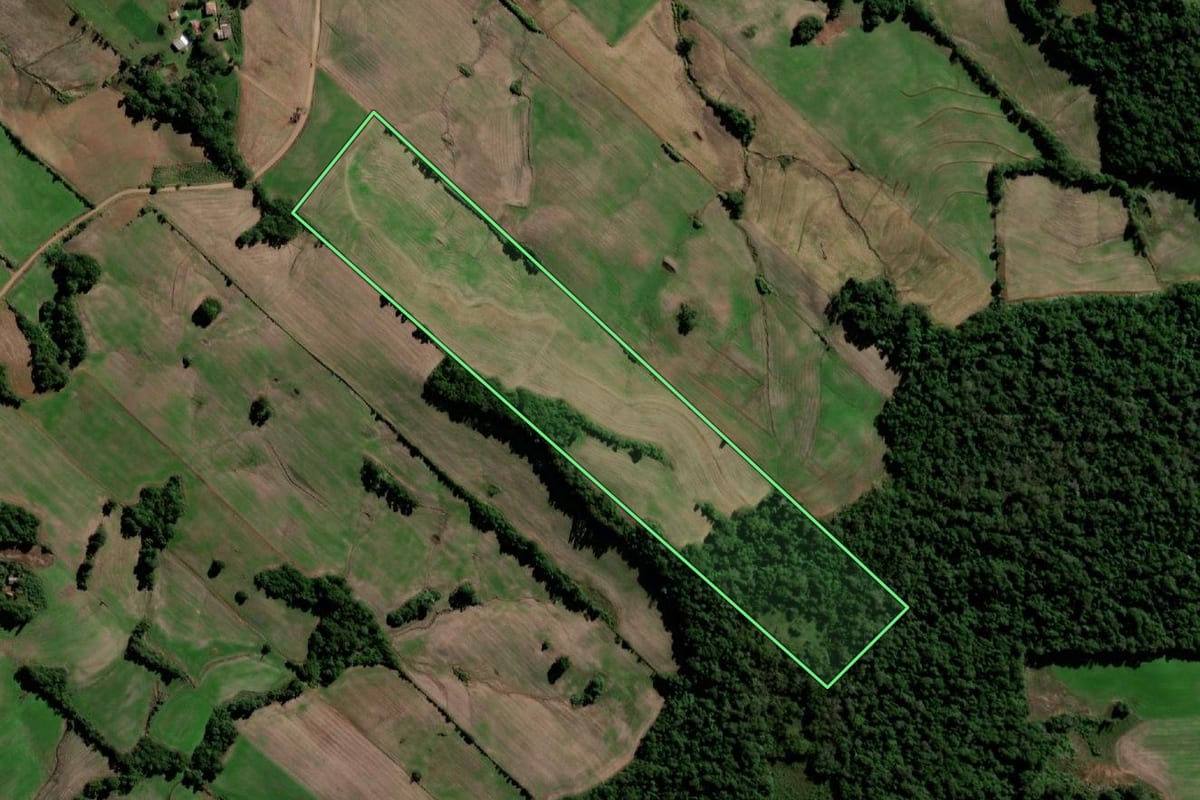 Imagem de satélite do imóvel rural em Santo Ângelo (RS), com o contorno declarado no CAR desenhado por cima.