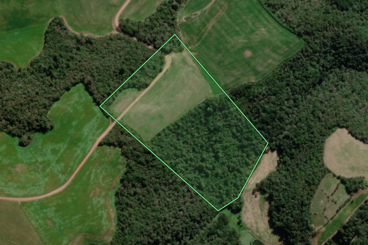 Imagem de satélite do imóvel rural em Santo Antônio do Palma (RS), com o contorno declarado no CAR desenhado por cima.