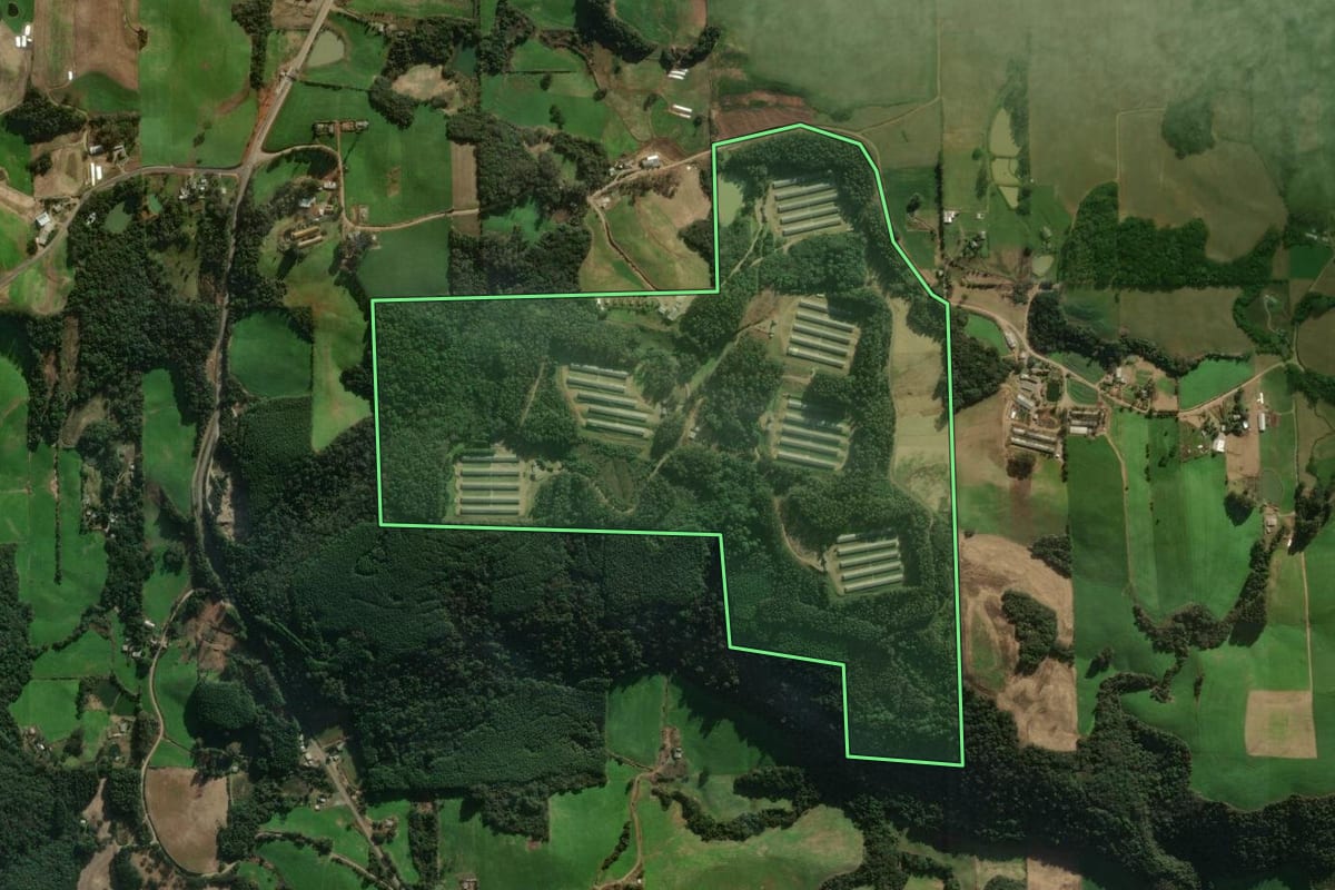 Imagem de satélite do imóvel rural em Santo Antônio do Palma (RS), com o contorno declarado no CAR desenhado por cima.