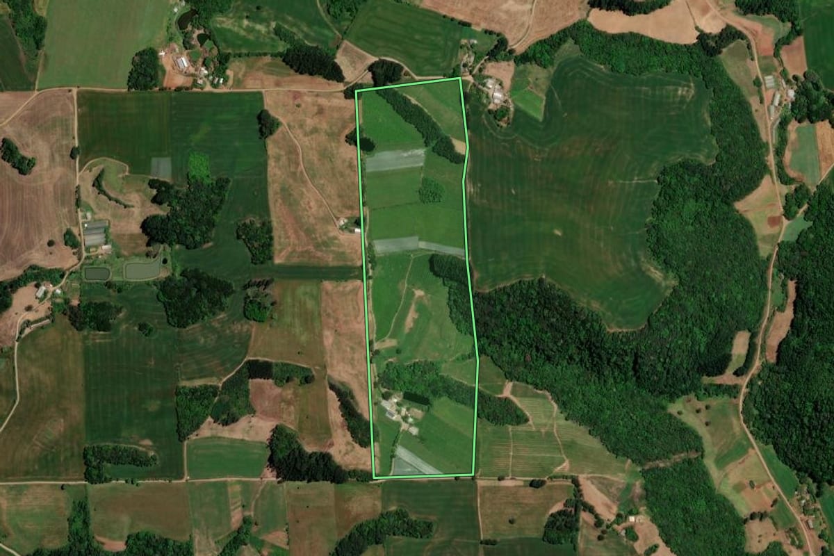 Imagem de satélite do imóvel rural em Santo Antônio do Palma (RS), com o contorno declarado no CAR desenhado por cima.