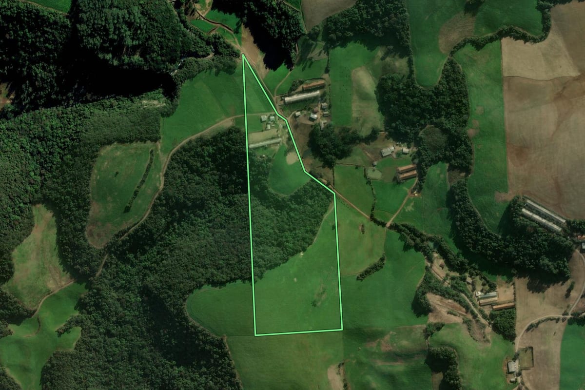 Imagem de satélite do imóvel rural em Santo Antônio do Palma (RS), com o contorno declarado no CAR desenhado por cima.