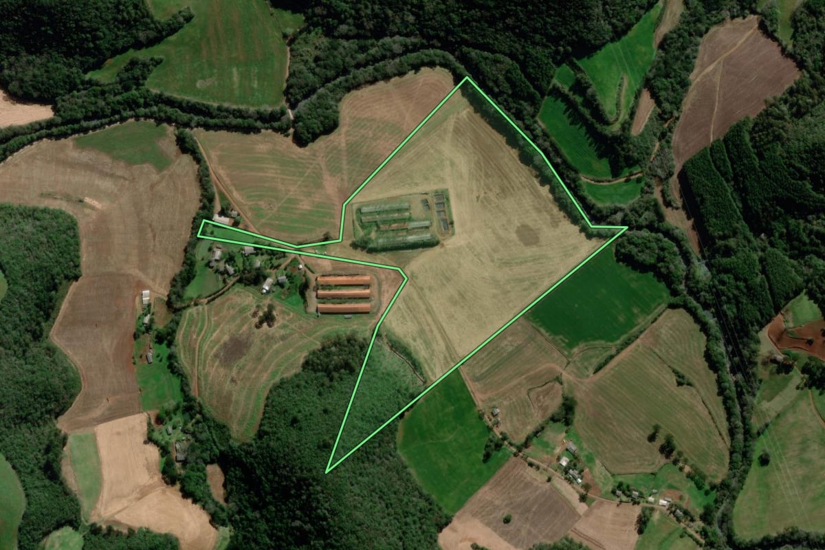 Imagem de satélite do imóvel rural em Santo Antônio do Palma (RS), com o contorno declarado no CAR desenhado por cima.