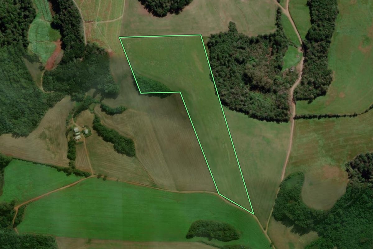 Imagem de satélite do imóvel rural em Santo Antônio do Palma (RS), com o contorno declarado no CAR desenhado por cima.