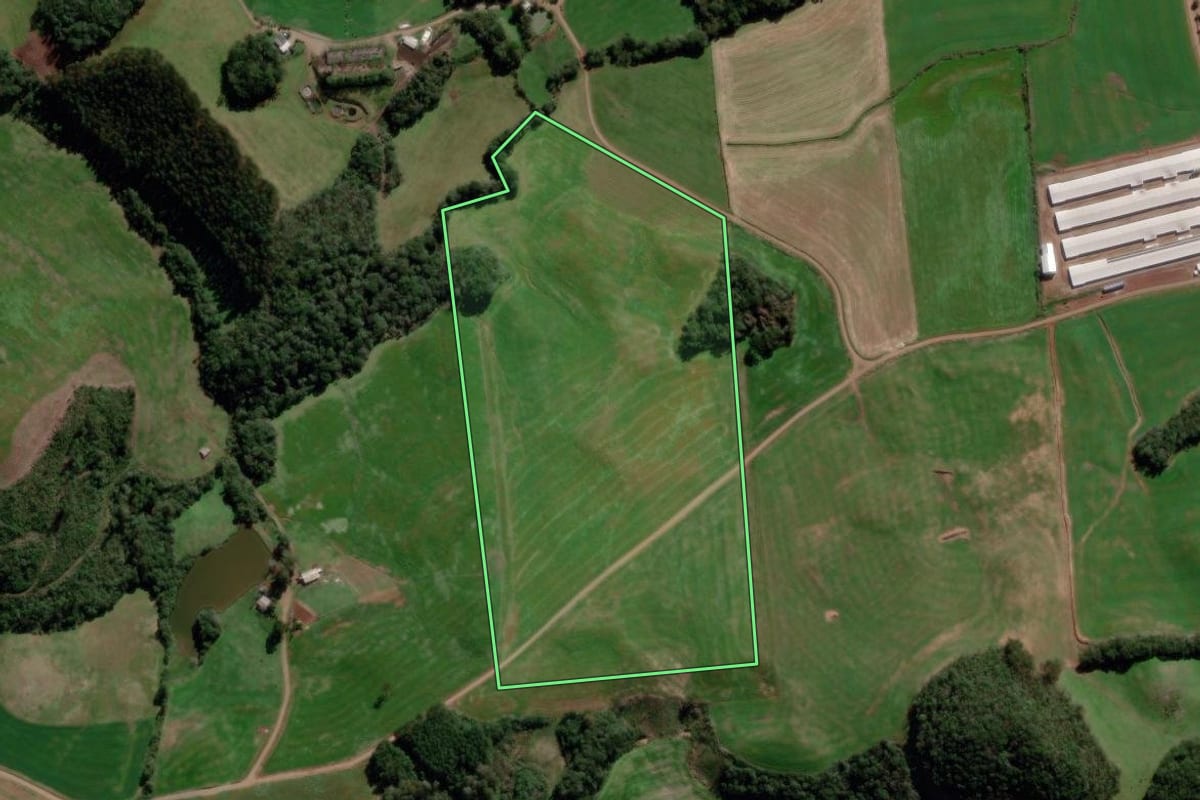Imagem de satélite do imóvel rural em Santo Antônio do Palma (RS), com o contorno declarado no CAR desenhado por cima.