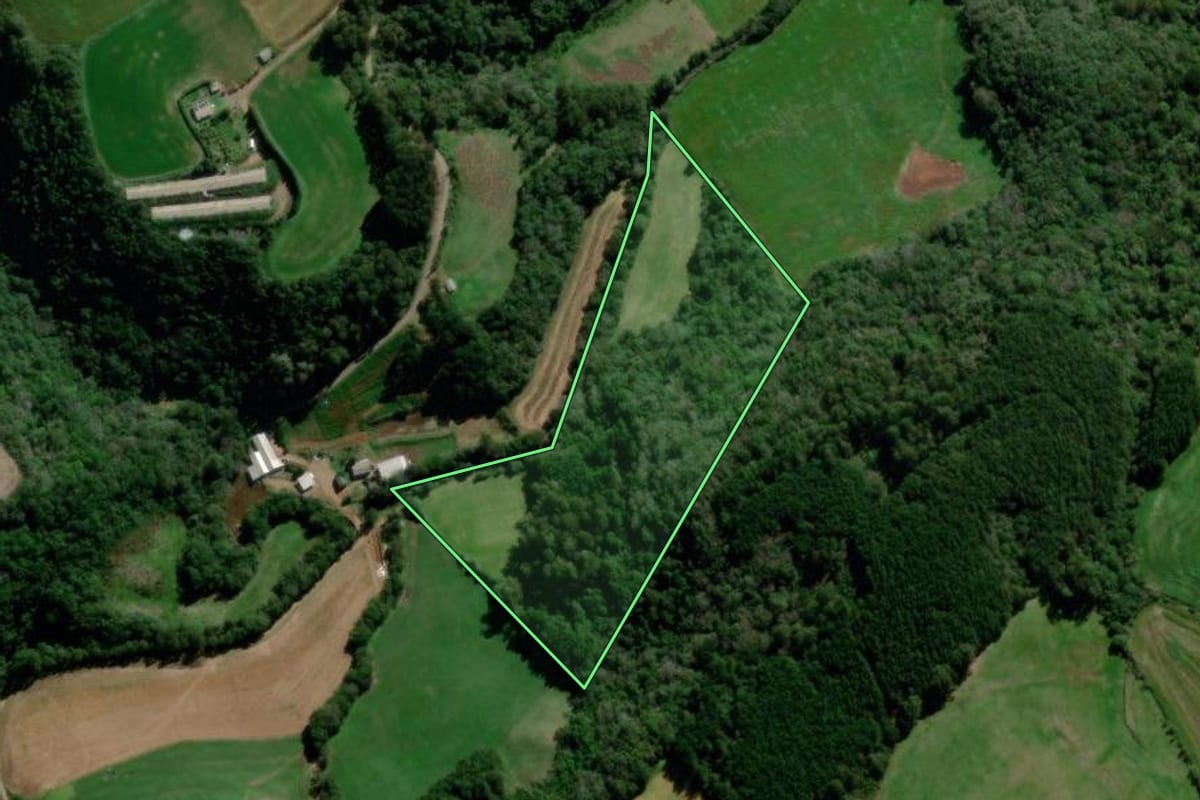 Imagem de satélite do imóvel rural em Santo Antônio do Palma (RS), com o contorno declarado no CAR desenhado por cima.