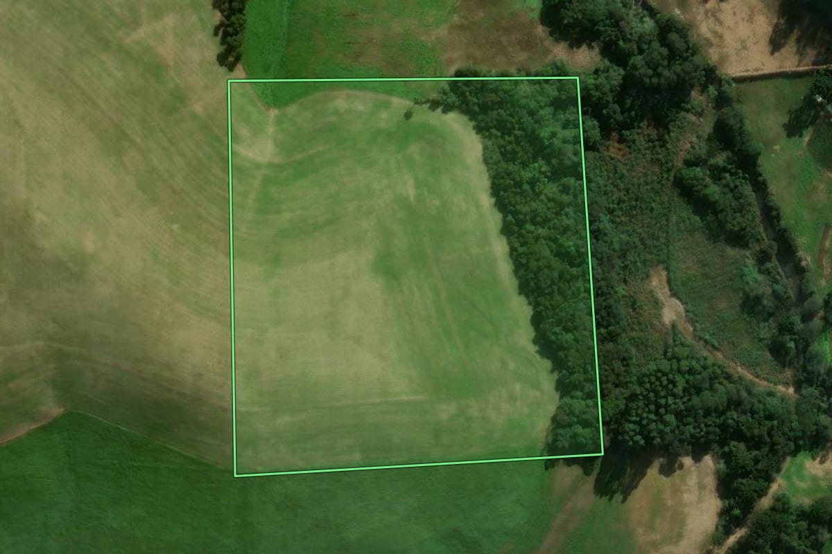 Imagem de satélite do imóvel rural em Santo Antônio do Palma (RS), com o contorno declarado no CAR desenhado por cima.