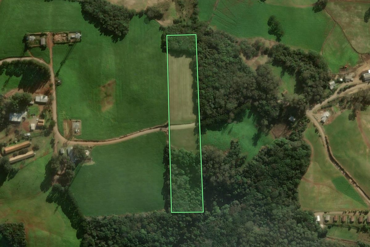 Imagem de satélite do imóvel rural em Santo Antônio do Palma (RS), com o contorno declarado no CAR desenhado por cima.