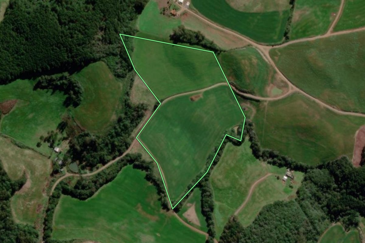 Imagem de satélite do imóvel rural em Santo Antônio do Palma (RS), com o contorno declarado no CAR desenhado por cima.