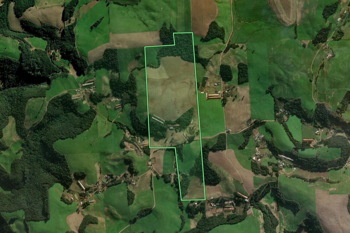 Imagem de satélite do imóvel rural em Santo Antônio do Palma (RS), com o contorno declarado no CAR desenhado por cima.